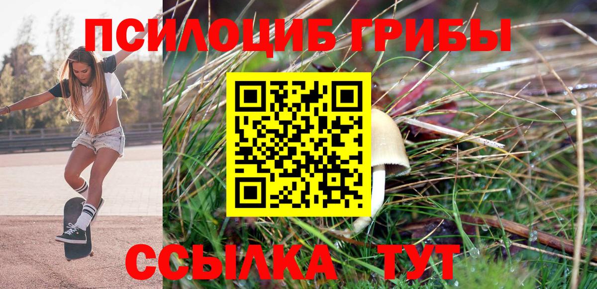 Галлюциногенные грибы ЛСД  Вход с VPN  Галлюциногенные грибы MAGIC MUSHROOMS  Соль-Илецк 